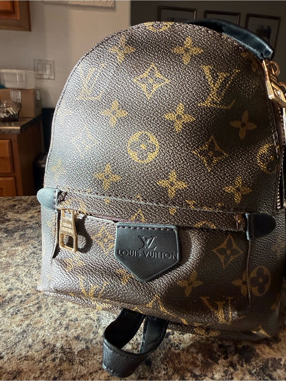 Louis Vuitton Monogram Mini Backpack in Brown and Gold